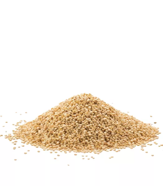 Quinoa Bio