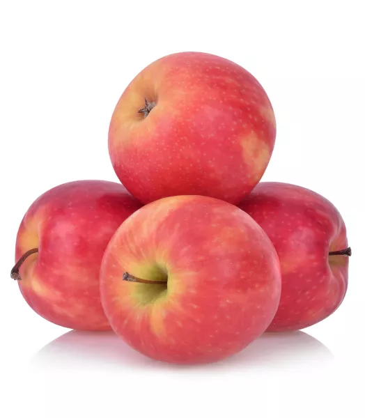 Pomme Pink